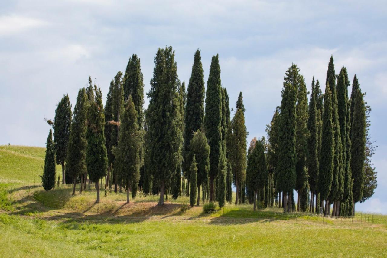 Agriturismo La Poderina Bagno Vignoni Exterior foto