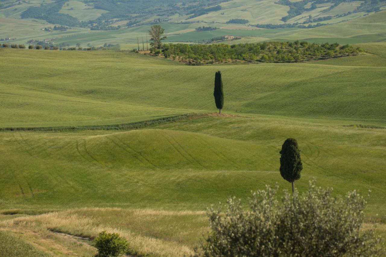 Agriturismo La Poderina Bagno Vignoni Exterior foto